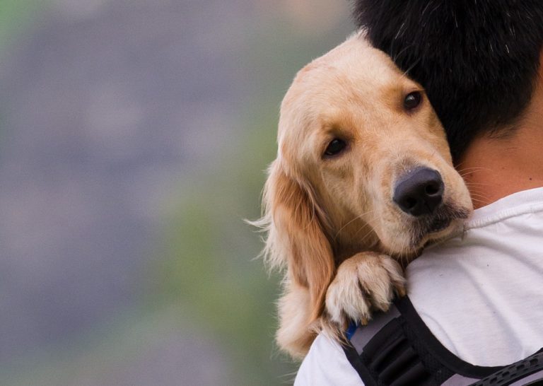 Hugging pet dog