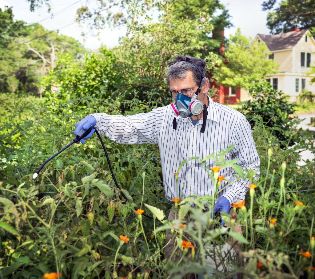 man using insecticide